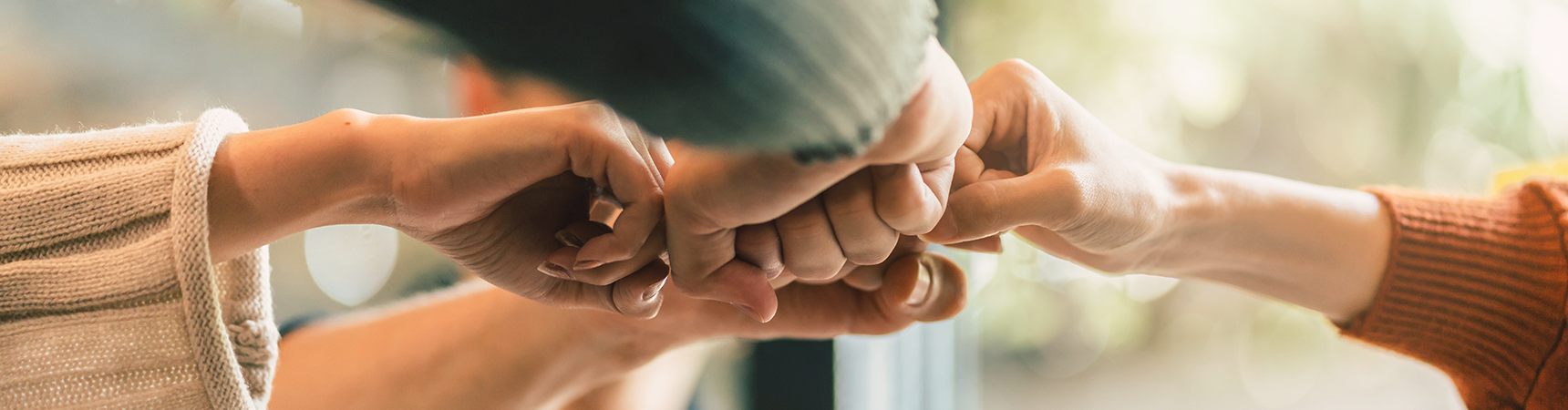 sub page 0103_organization visual image